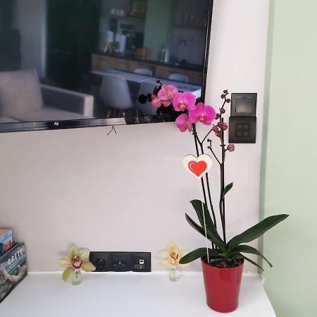 Ferienwohnung Dioni Lux Agios Nikolaos Exterior foto